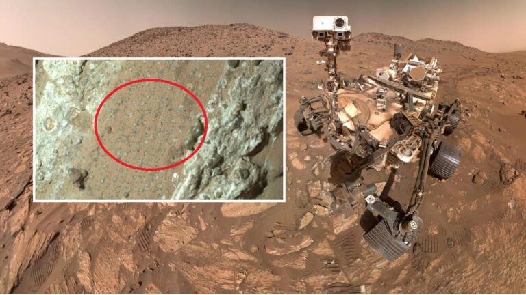 Is there life on Mars? What (really) tells us the strange announcement of NASA