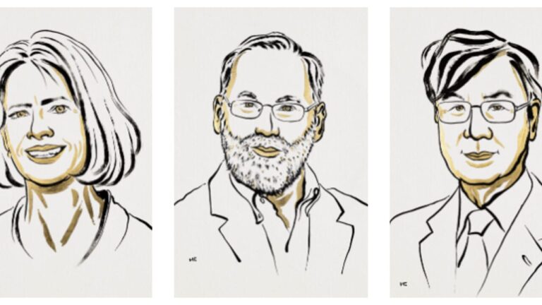 Discoveries on cancer and autoimmune diseases (thanks to mice)