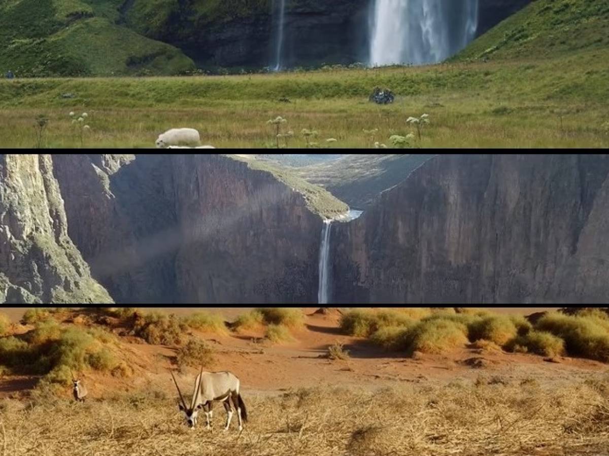 Revolution on Instagram: horizontal kings arrive. What it is and how to create them
