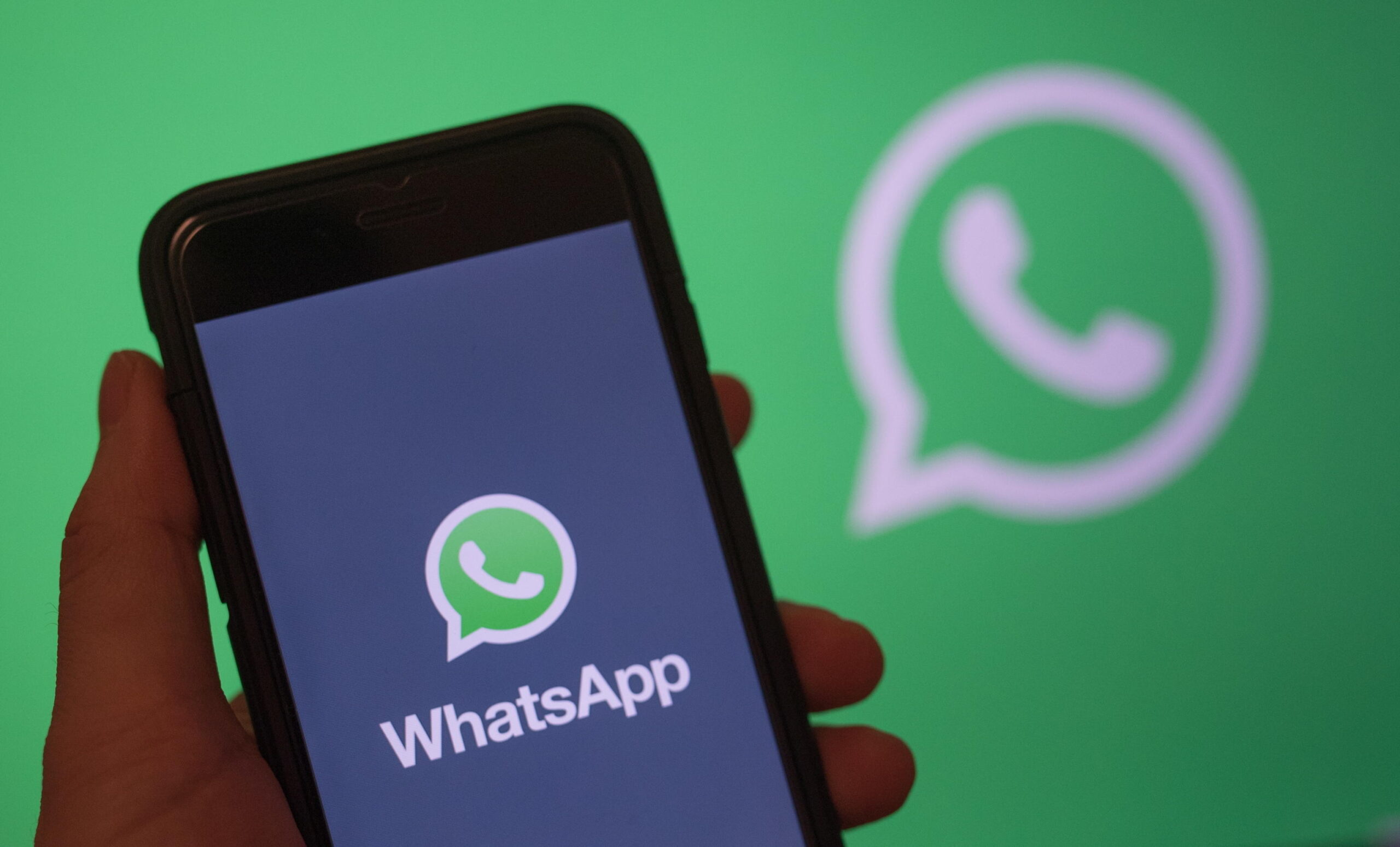 Scheduled calls on WhatsApp. Zoom challenge: how they work