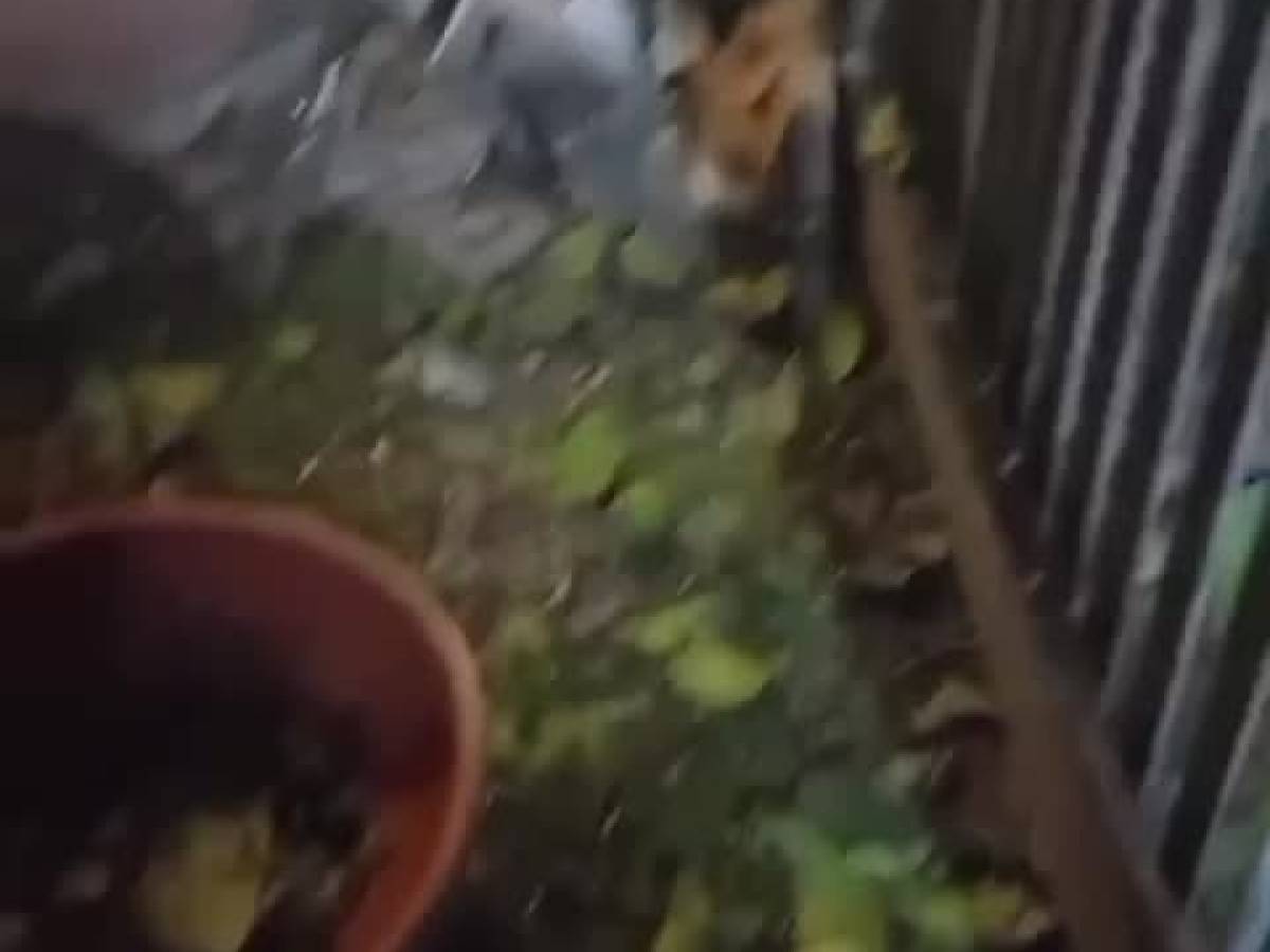 VIDEO: "The bomb placed among the vases". The shocking images of Ranucci's destroyed cars