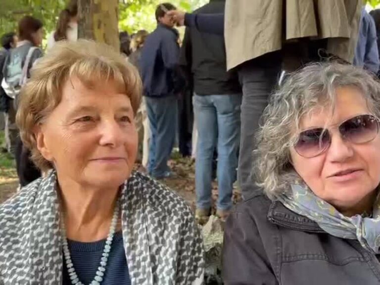 Video: The voices of the square: "The government download Israel and support Palestine free"