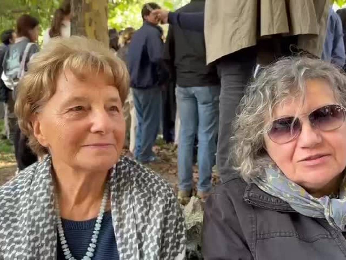 Video: The voices of the square: "The government download Israel and support Palestine free"