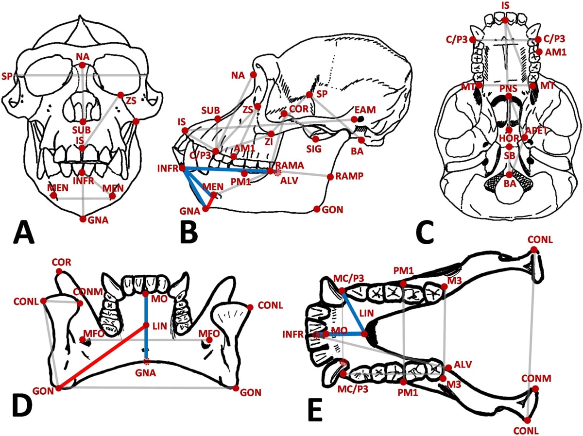 study-shows-that-the-c