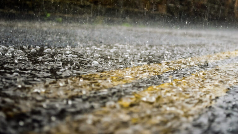 So, what will spring be like