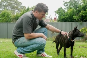 The real story behind the cancer vaccine "created with AI": this is how the dog Rosie was saved