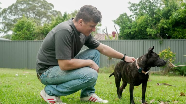 The real story behind the cancer vaccine "created with AI": this is how the dog Rosie was saved