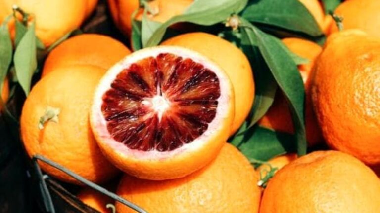 Because we risk losing the real Sicilian oranges: all the parasites attacking Italy in 2026