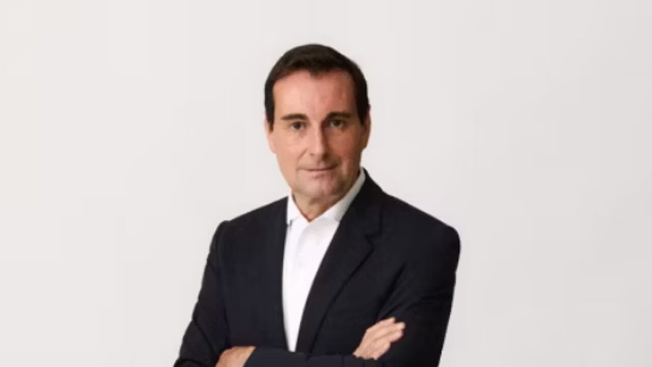 Mango has never made so much money