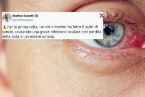 There is a new virus that comes from water: the covert mortality nodavirus has made the jump to species