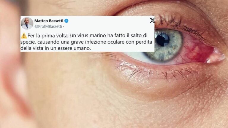 There is a new virus that comes from water: the covert mortality nodavirus has made the jump to species