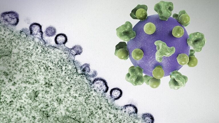 A genetic mutation could defeat AIDS