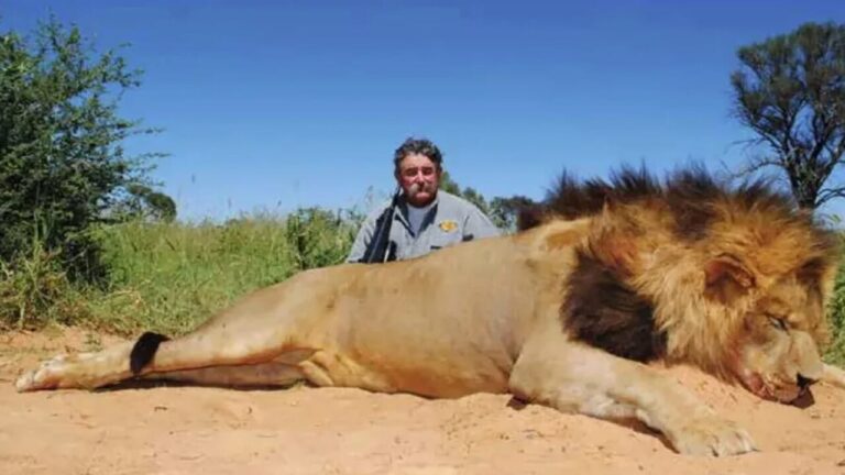 Ernie Dosio goes to shoot some antelopes but dies when trampled by five elephants