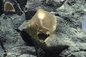 The mystery of the golden sphere found at the bottom of the ocean has been solved
