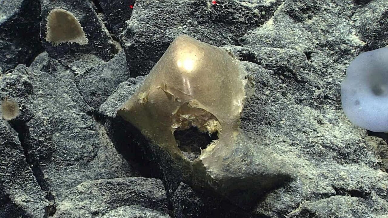 The mystery of the golden sphere found at the bottom of the ocean has been solved