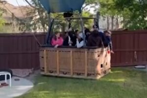 They wake up to find a hot air balloon and 13 people in the garden