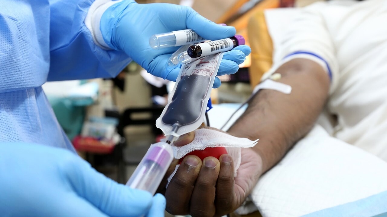 "Because your blood is also needed": record number of donations in Italy, but we are forced to buy it in the USA