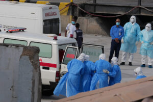 Hantavirus, the contagion comes off the ship: flight attendant hospitalized after contact with a dead passenger