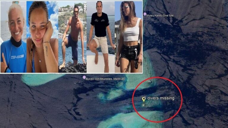 Monica and her daughter, the researcher Muriel and the divers Gianluca and Federico: who are the Italians who died in the Maldives
