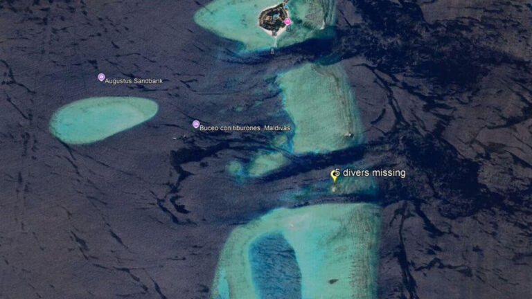 Alimathà: the island of the Maldives where the 5 Italians died. The caves, the "kandu" and the soft corals: why people go there for diving