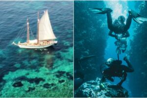 Scientific cruises: what are (and how much do they cost) the “exploratory” trips in which the divers who died in the Maldives participated