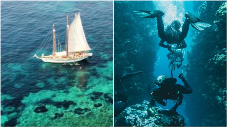 Scientific cruises: what are (and how much do they cost) the "exploratory" trips in which the divers who died in the Maldives participated