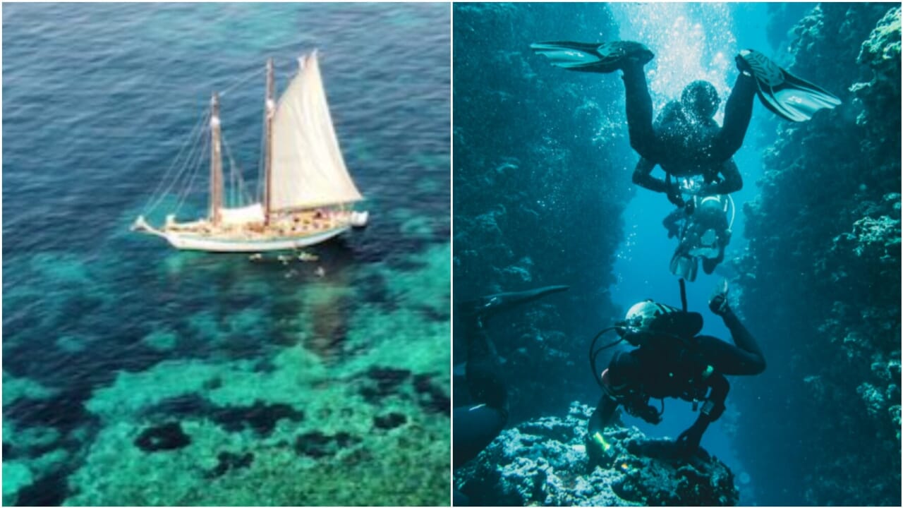 Scientific cruises: what are (and how much do they cost) the "exploratory" trips in which the divers who died in the Maldives participated