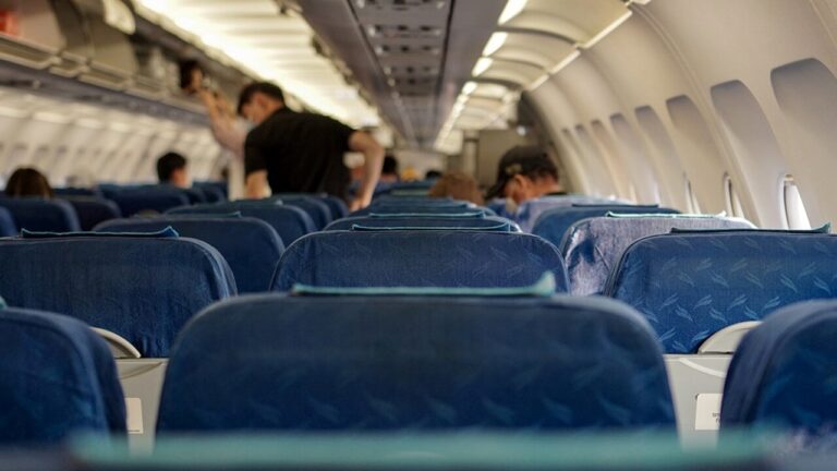 Panic on board: passenger bites flight attendant. The plane is forced to change course