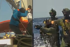 What now happens to the 29 Italians of the Flotilla stopped by Israel: there is also a deputy