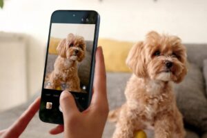 Tcl K70: three new smartphones starting from 99 euros