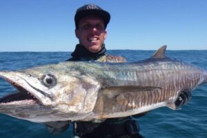 Diver dies after attack by a 5 meter shark: devoured before the eyes of his friends