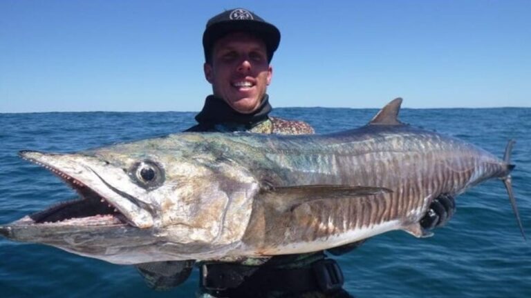 Diver dies after attack by a 5 meter shark: devoured before the eyes of his friends