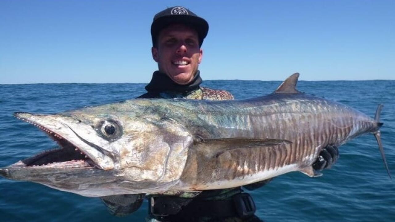 Diver dies after attack by a 5 meter shark: devoured before the eyes of his friends
