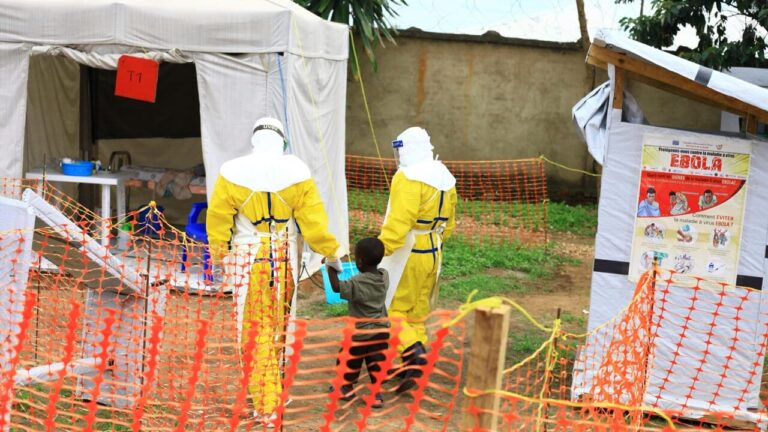 Ebola, WHO declares international health emergency: dozens of deaths in Congo, cases also in Uganda