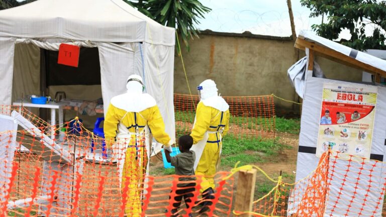 New Ebola outbreak in Congo: 246 cases and 65 deaths. "Low risk for Europe"