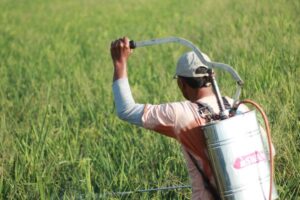 Prolonged exposure to pesticides increases the risk of cancer