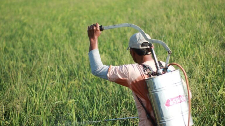 Prolonged exposure to pesticides increases the risk of cancer