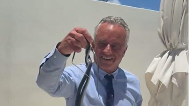 Robert Kennedy jr grabs two snakes with his bare hands and is bitten: the video