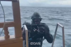 The team of experts resurfaces after recovering the dead Italian divers in the Maldives – The video