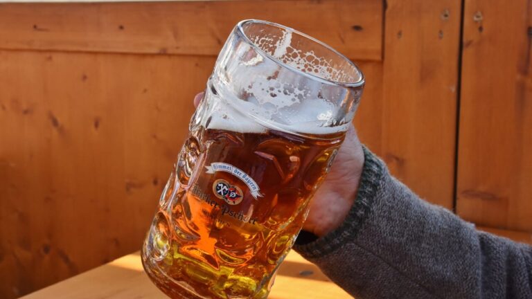Too many drunk passengers on flights, Ryanair against alcohol in airports: ''Stop beers at dawn''