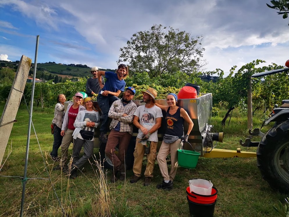 young people in camoagna