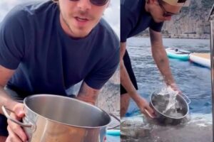Sea water for cooking and a sip of iceberg for 130 euros: they convinced us to pay its weight in gold for water
