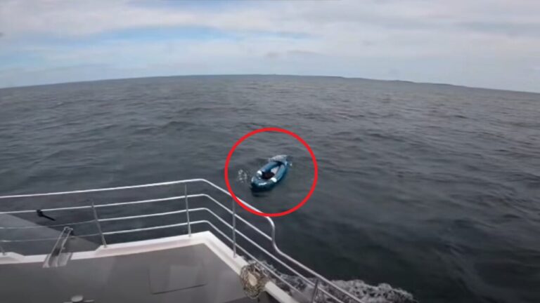 Bruce the dog ends up adrift in a kayak alone: ​​found in the North Sea after kilometers offshore
