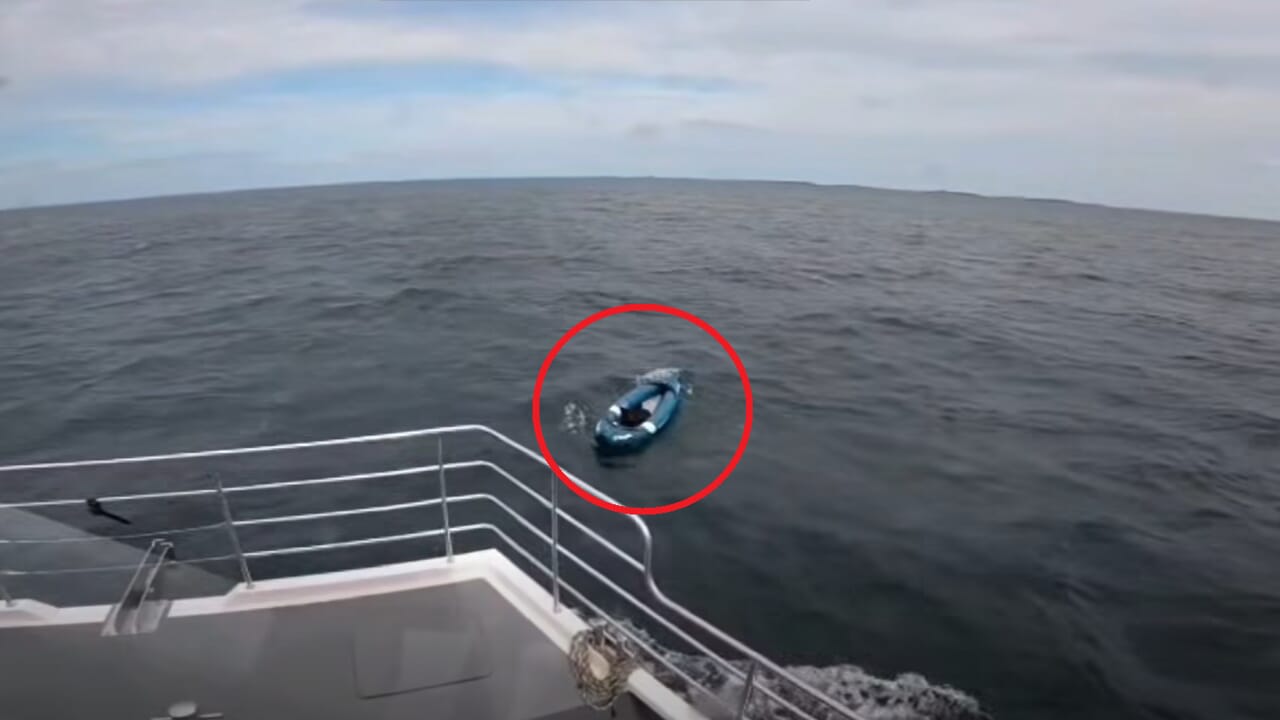 Bruce the dog ends up adrift in a kayak alone: found in the North Sea after kilometers offshore