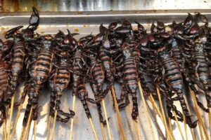 Why do we hate eating insects? The answer is written, in part, in our DNA