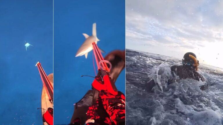 A shark bites him while fishing, he takes it all back: "No hard feelings, I was in his environment"