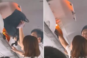 Hatbox catches fire during flight: panic breaks out on board