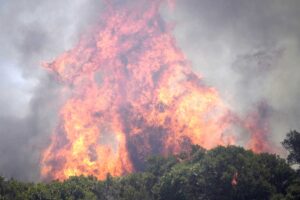 Pyrocumulonimbus, what are the “fire clouds” that threaten France