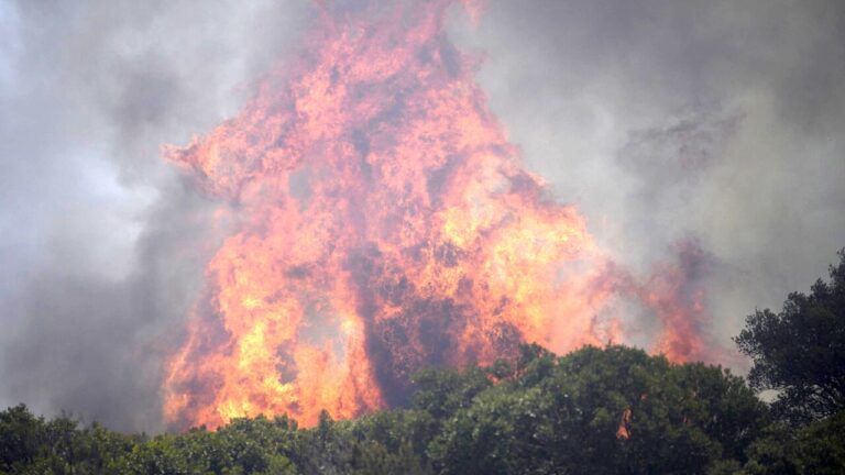 Pyrocumulonimbus, what are the "fire clouds" that threaten France