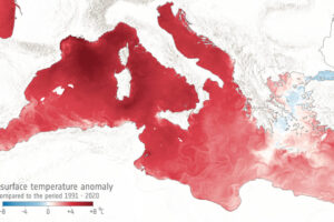 Boiling sea: the Mediterranean has exceeded 30 degrees in temperature